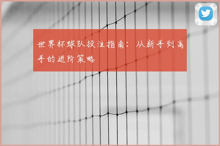 世界杯球队投注指南：从新手到高手的进阶策略