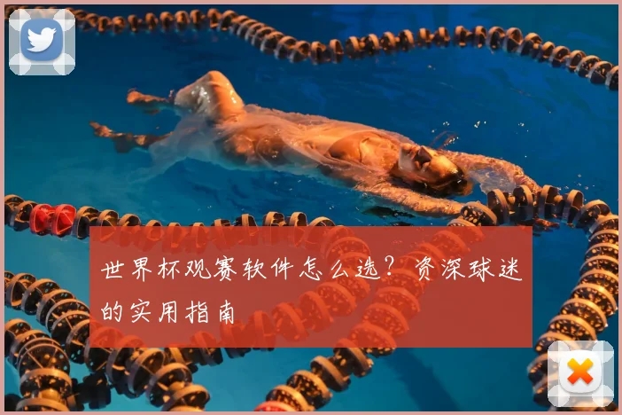 世界杯观赛软件怎么选？资深球迷的实用指南