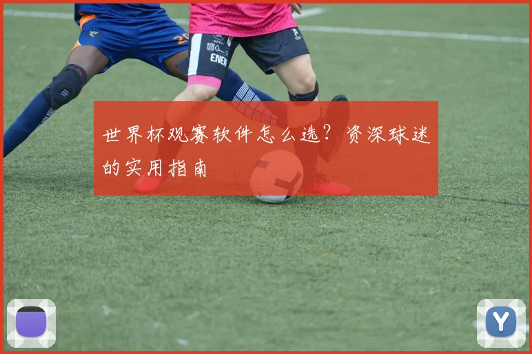 世界杯观赛软件怎么选？资深球迷的实用指南